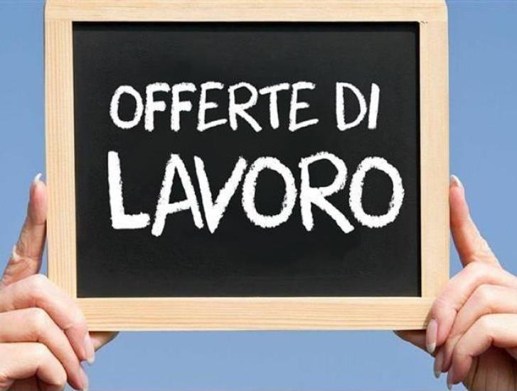 Offerte di lavoro